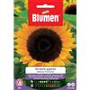 Blumen girasole gigante bellezza d'autunno