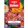 Blumen zinnia a fior di dalia in miscuglio