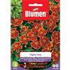 Blumen tagete nano dainty marietta