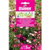 Blumen miscuglio di fiori alti per aree soleggiate