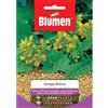 Blumen senape bianca
