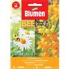 Blumen Bee asclepias curassavica