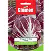Blumen cicoria chioggia tardiva