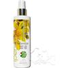 Officinalis shampoo secco Cuccioli all\' Iperico 250 ml