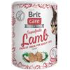 Brit Care Snack Gatto Superfruits Lamb SCADENZA 28-05-2025 100 gr