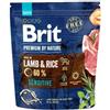 BRIT Premium By Nature Sensitive Agnello 1 kg