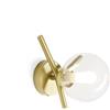 Miloox Sforzin CAMELY APPLIQUE DA PARETE O SOFFITTO 1 LUCE ORO SPAZZOLATO ATTACCO G9 D.12CM IN VETRO TRASPARENTE