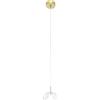 Miloox Sforzin X-RAY LAMPADARIO A SOSPENSIONE 1 LUCE VETRO BOROSILICATO TRASPARENTE D.20CM ATTACCO G9 ROSONE ORO SPAZZOLATO