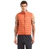 EA7 GILET PIUMINO Smanicato da Uomo
