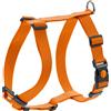 Hunter Set pettorina e guinzaglio - Hunter London arancione - Pettorina Tg. M + guinzaglio 2 m x H 1,5 cm