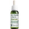 la saponaria - Niacinamide + Zinco