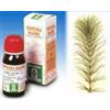 Specchiasol Equiseto 12 50ml Tm