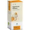 Gheos Srl Agaricus Gheos 90capsule