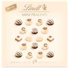 Lindt Cioccolato - Mini cioccolatini bianchi | 90 g | Scatola di cioccolatini 18 cioccolatini in 6 deliziose varietà | Regalo di cioccolatini | Regalo di cioccolato