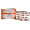 CA.DI.GROUP SPA Eccarvit Plus Integartore 12 Capsule