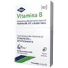 IBSA FARMACEUTICI ITALIA Srl VITAMINA B IBSA 30FILM ORALI