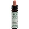 SANTIVERI Sa HONEYSUCKLE 10ML AINSWORTHS