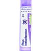 BOIRON Srl Rhus Toxicodendron 30Ch Tubo 80 Granuli 4g