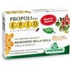 SPECCHIASOL Srl EPID ZINCO 20CPR