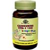 SOLGAR IT. MULTINUTRIENT SpA Cangurini Vitam C100cpr Mastic