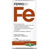 ERBA VITA GROUP SpA FERRO EV 60CPS 500MG