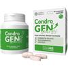 INNOVET ITALIA Srl CONDROGEN ENERGY 60CPR MASTIC