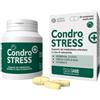 INNOVET ITALIA Srl CONDROSTRESS+ 60CPR MASTIC
