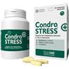INNOVET ITALIA Srl CONDROSTRESS+ 90CPR MASTIC