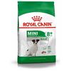 ROYAL CANIN Mini Adult +8 8 kg cibo secco per cani anziani da 8 a 12 anni di età, razze di piccola taglia