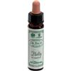 SANTIVERI Sa HOLLY 10ML AINSWORTHS