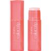 Pupa Color Trip Blush stick ph ragente