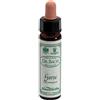 SANTIVERI Sa GORSE 10ML AINSWORTHS