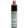SANTIVERI Sa HORNBEAM 10ML AINSWORTHS