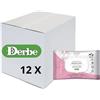 NATURAL DERMA PET Offerta multipack Derbe salviette funzionali delicate 35 pz x 12 unità