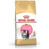 *Royal Canin Rc Kitten Persian 32 400Gr Minsan 910855396