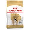*Royal Canin Rc Bulldog Inglese Adult 24 12Kg Minsan 910855129