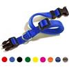*Camon Cam Collare Ny F141/02 Blu Chiaro Sgancio Regolabile 15Mm 250/300 Minsan 970281503