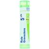 BOIRON SRL RUTA GRAVEOLENS*5CH 80GR 4G BO