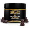Biotary Shilajit 120 cuccioli di gomma | 30:1 estratto (=42.000mg Shilajit) | 30% acido fulvico 10% acido umico | 100% puro & originale | vegano & senza additivi