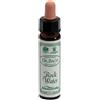 SANTIVERI Sa ROCK WATER 10ML AINSWORTHS