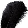 VoilaLove 20 Pezzi Naturali Piume di Struzzo mestiere 10~12 Pollici (25~30 cm) pennacchio per centrotavola di Nozze Decorazione Domestica (Nero)
