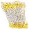 Pistilli giallo intenso 1 mm