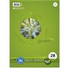 Staufen 608575020 - Quaderno College Line Style 28 DIN A4, 80 fogli, 70 g/m², 5 mm, a quadretti con margine, 1 pezzo