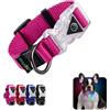 Playexen Collare Luminoso per Cani Playexen Collare Cane Regolabili in Morbido Cotone per Cani & Gatto Taglia Piccola LED 2 Modos de Flash Collari per Cane 20-30/2,0cm (XS), Rosa