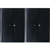 Lostwry 2 Pezzi Cartella Portadocumenti A4, 13 Tasche Porta Documenti Espandibili Organizer per Documenti A4 Porta Documenti Fisarmonica organizer per documenti per Faldoni Ufficio Scuola Casa, Nero