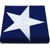 Anley EverStrong Series Bandiera dello Stato del Texas ricamata 3 x 5 piedi - 4 file di cuciture a punto fermo - Bandiere a stella solitaria in nylon con occhielli in ottone 3 x 5 piedi