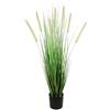 Flair Flower 151032 GN Volpe Coda Erba in Vaso, plastica, Verde, 85 x 18 x 18 cm