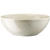 ROSENTHAL STUDIO-LINE INSALATIERA 24 CM, MESH PANNA