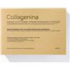 LABO INTERNATIONAL Srl Collagenina, Impacco 6 Collageni Grado 2
