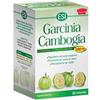 ESI - Garcinia Cambogia 1000 mg - Integratore per Controllo del Peso